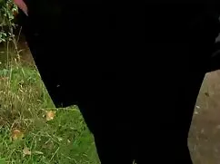 طلاق, به موقع, ریخته ...