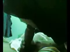 گربه نوازش جدیدترین  ...